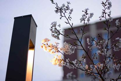 http://wx.youthdaily.cn:8000/15855534351090990770/images/eCTDqijJ.jpg