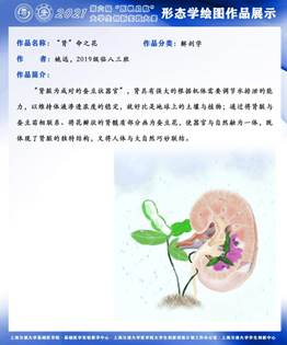 姚遠